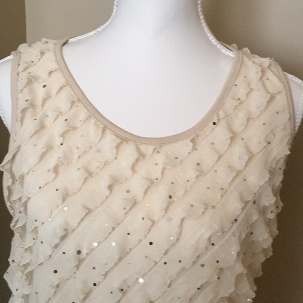 JANERIC.  EUC TOP w/ruffles